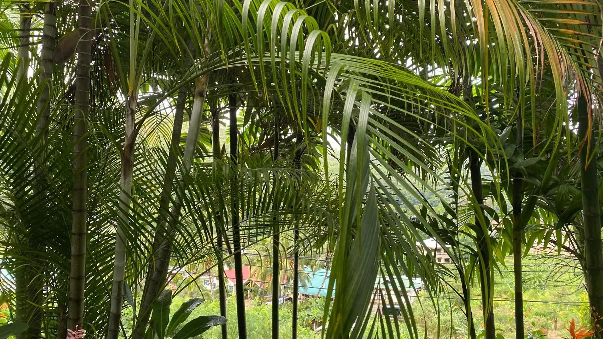 Stephna Residence Anse Boileau Seychelles - szigetek