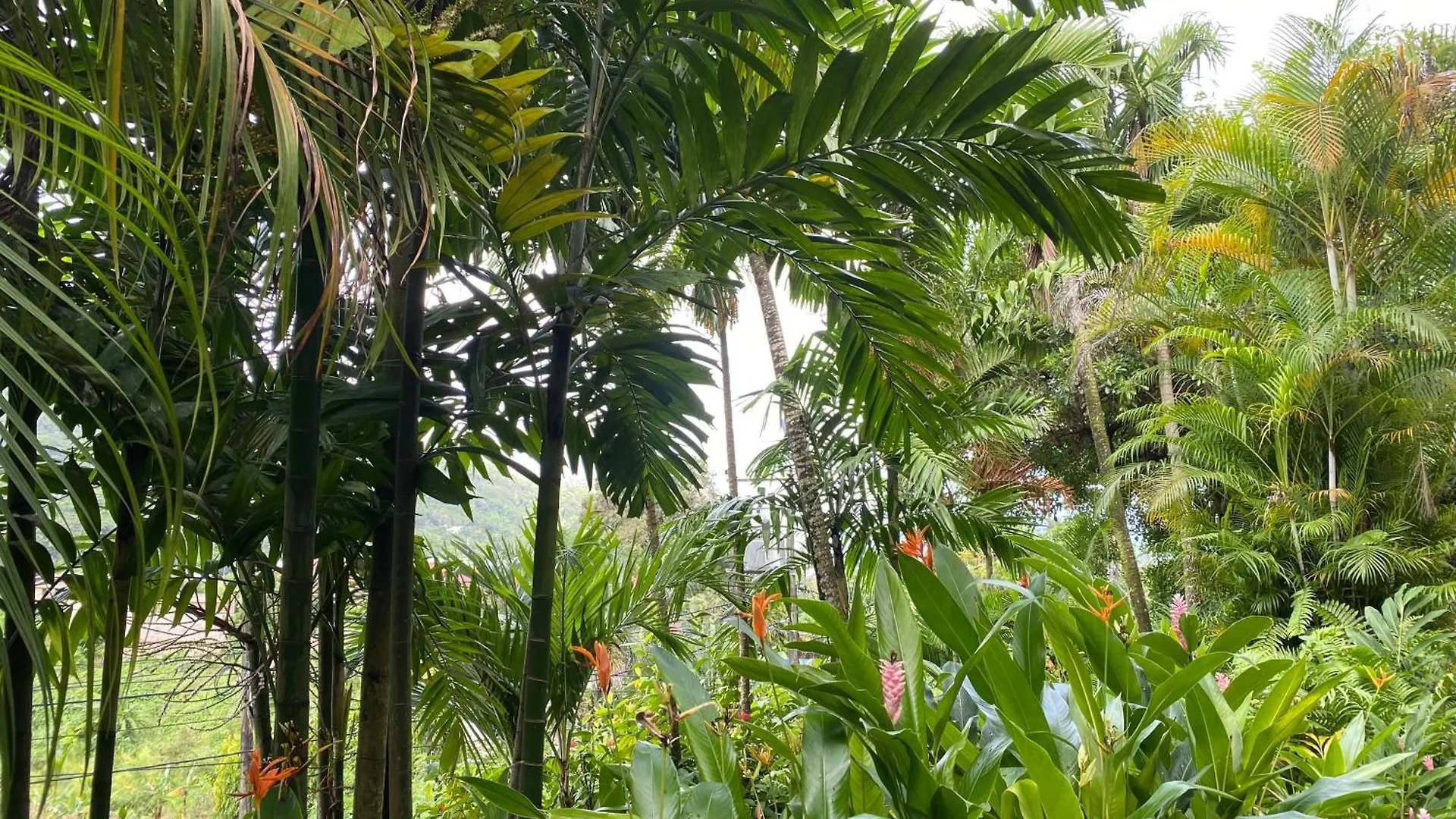 Nyaraló Stephna Residence Anse Boileau Seychelles - szigetek