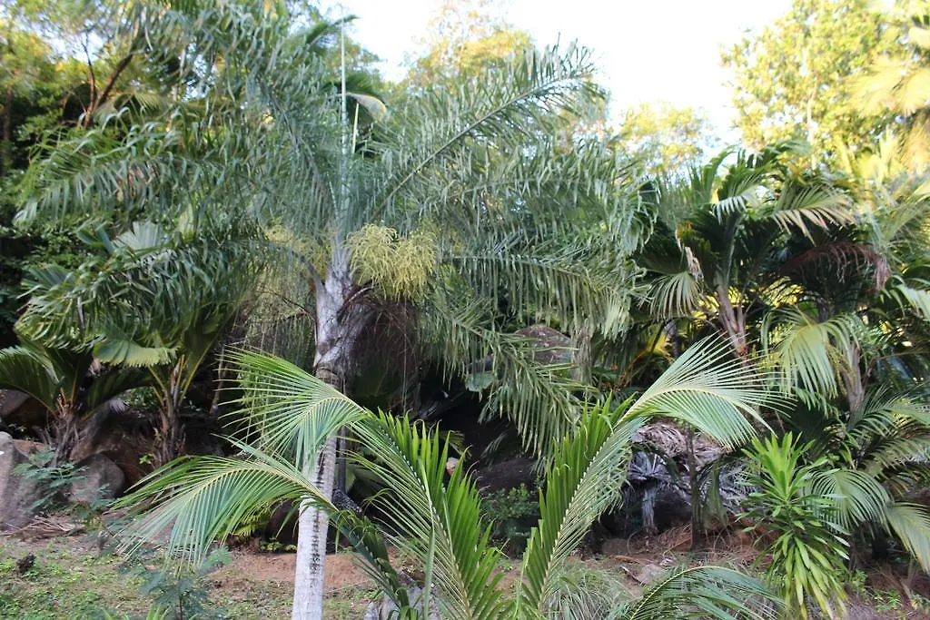 Stephna Residence Anse Boileau 0*,